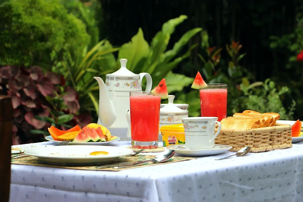 Kwatera prywatna Coco Home Negombo